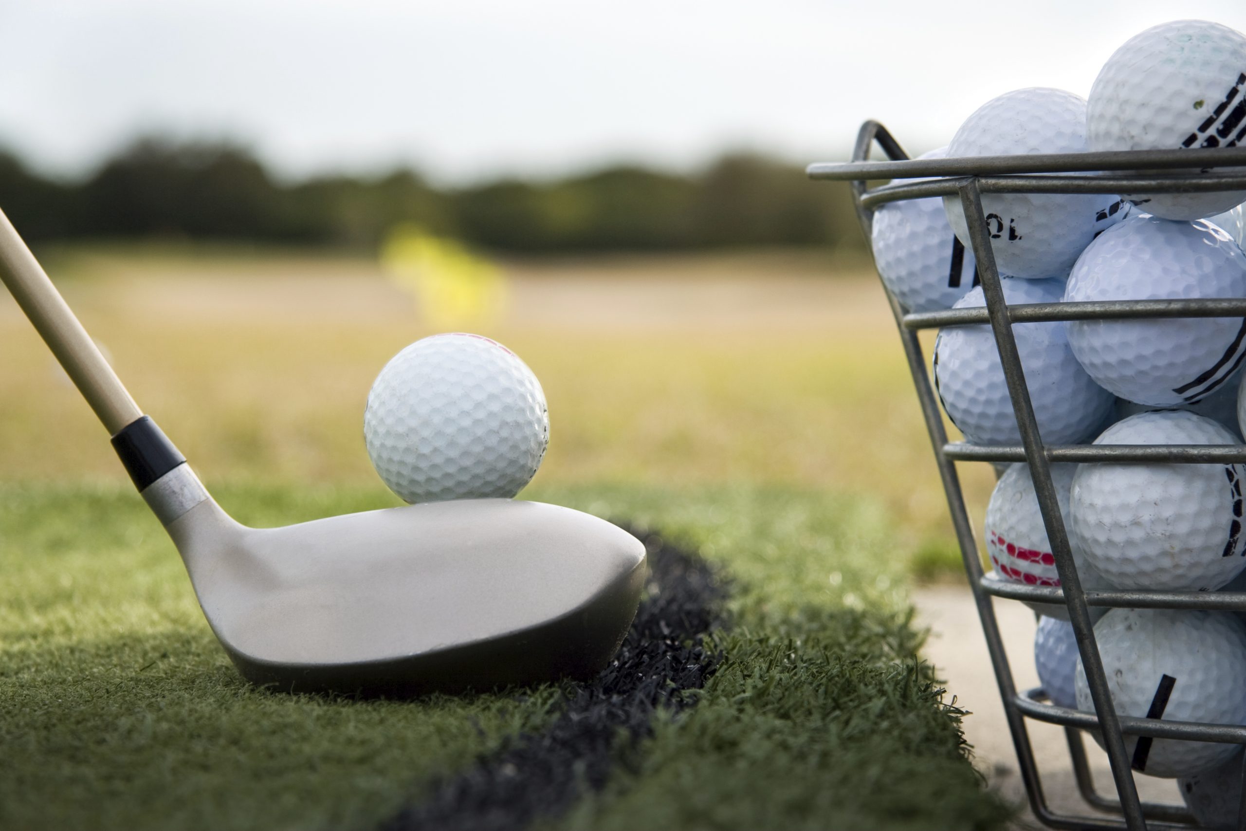 A golf ball, golf club and bucket of golf balls